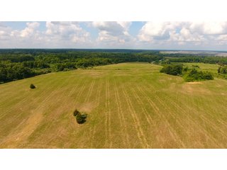 TRACT 41 - ILLINOIS LAND AUCTION - 4,810+/- ACRES OFFERED IN 85 TRACTS IN FRANKLIN, WILLIAMSON, HAMILTON & SALINE COUNTIES, ILLINOIS